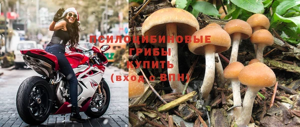 МДМА Карпинск