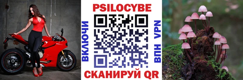 как найти закладки  маркетплейс Telegram  Галлюциногенные грибы Psilocybine cubensis  Шахунья 