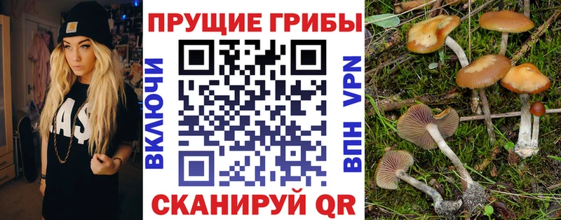 Псилоцибиновые грибы GOLDEN TEACHER Шахунья